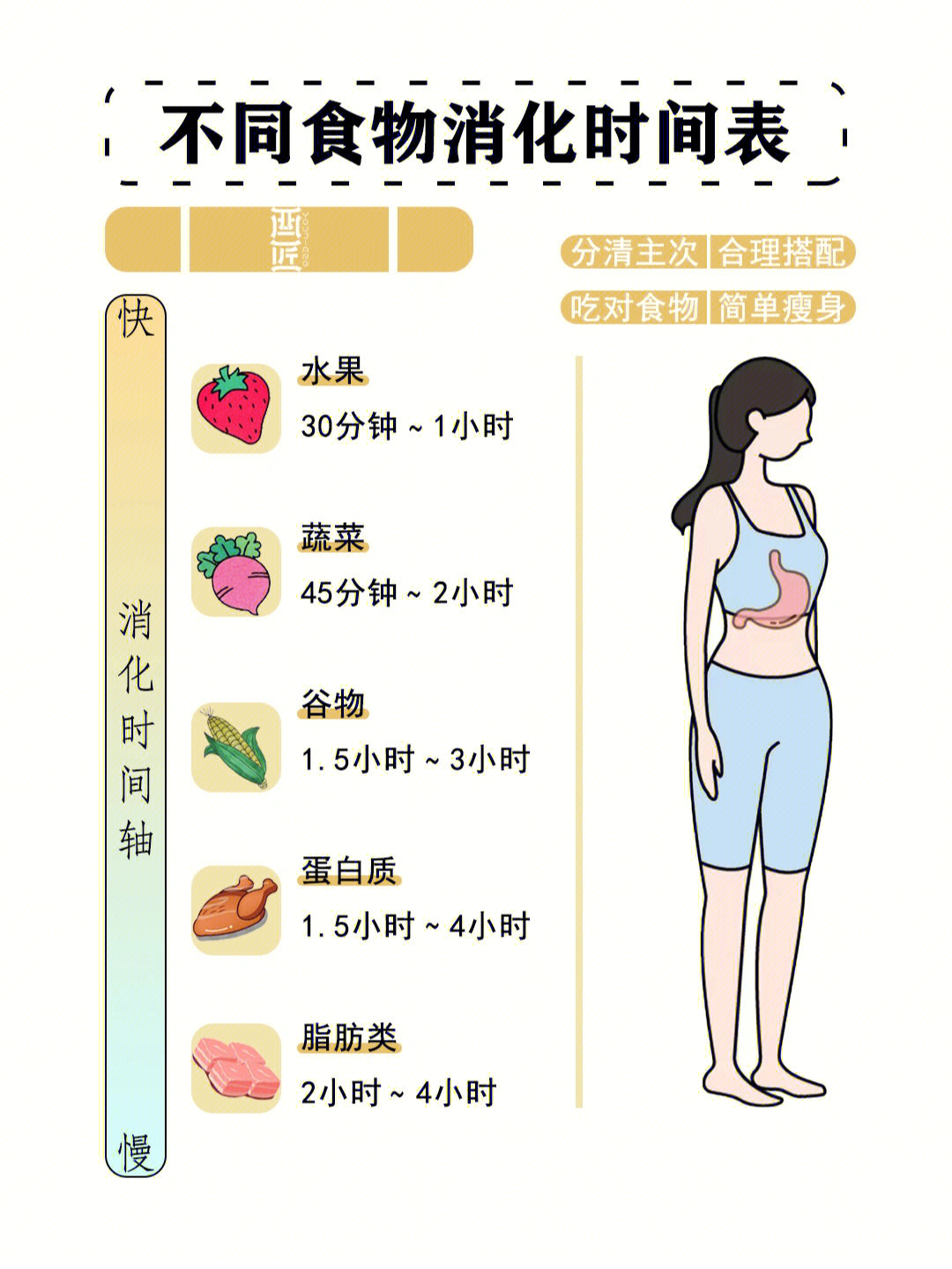 食物消化时间图片