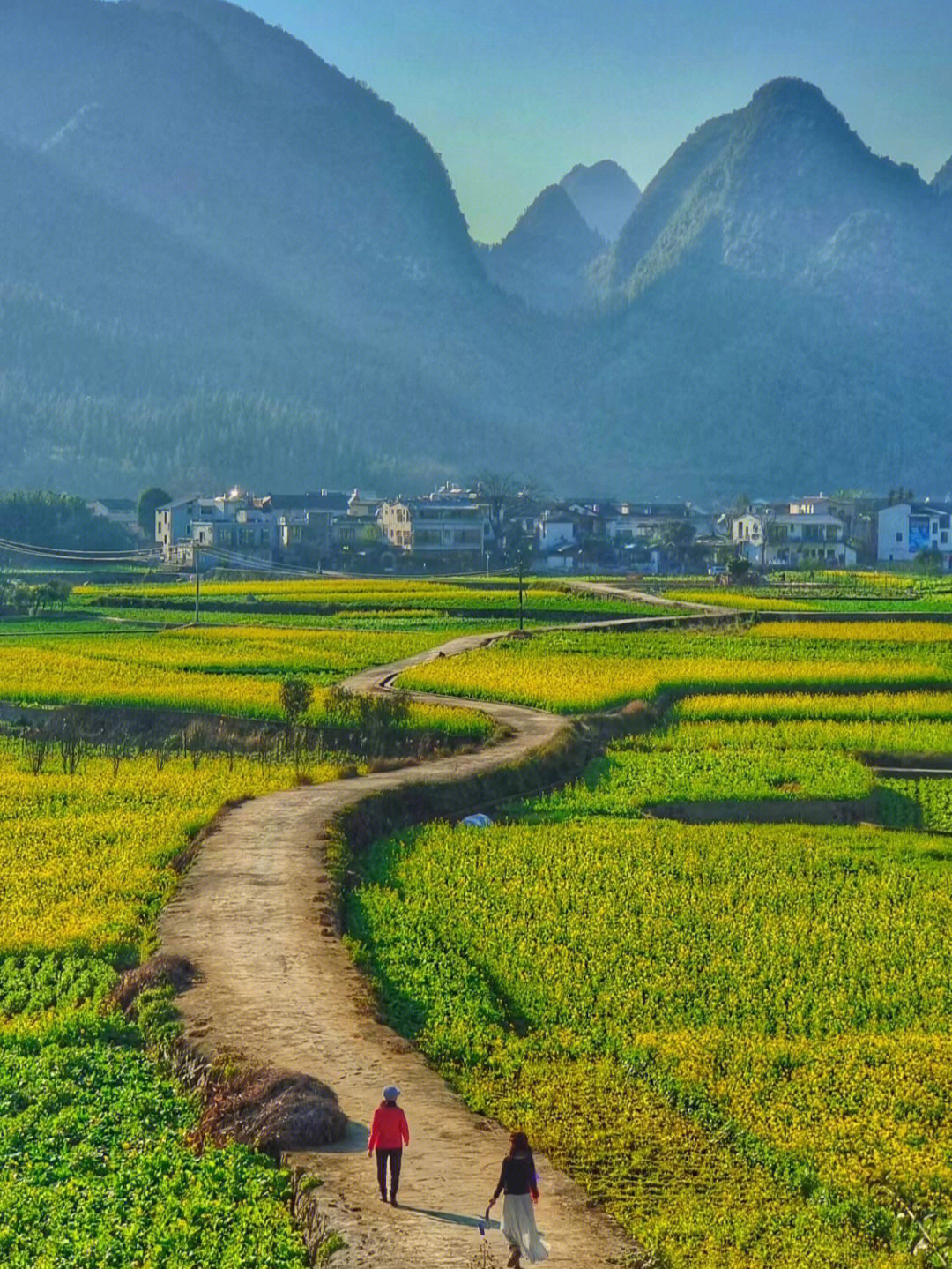 兴义油菜花最佳地点图片