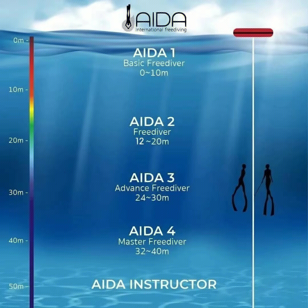 aida潜水证书图片