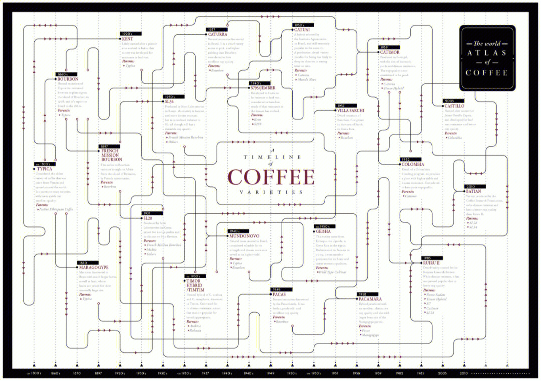 咖啡族谱图高清图片