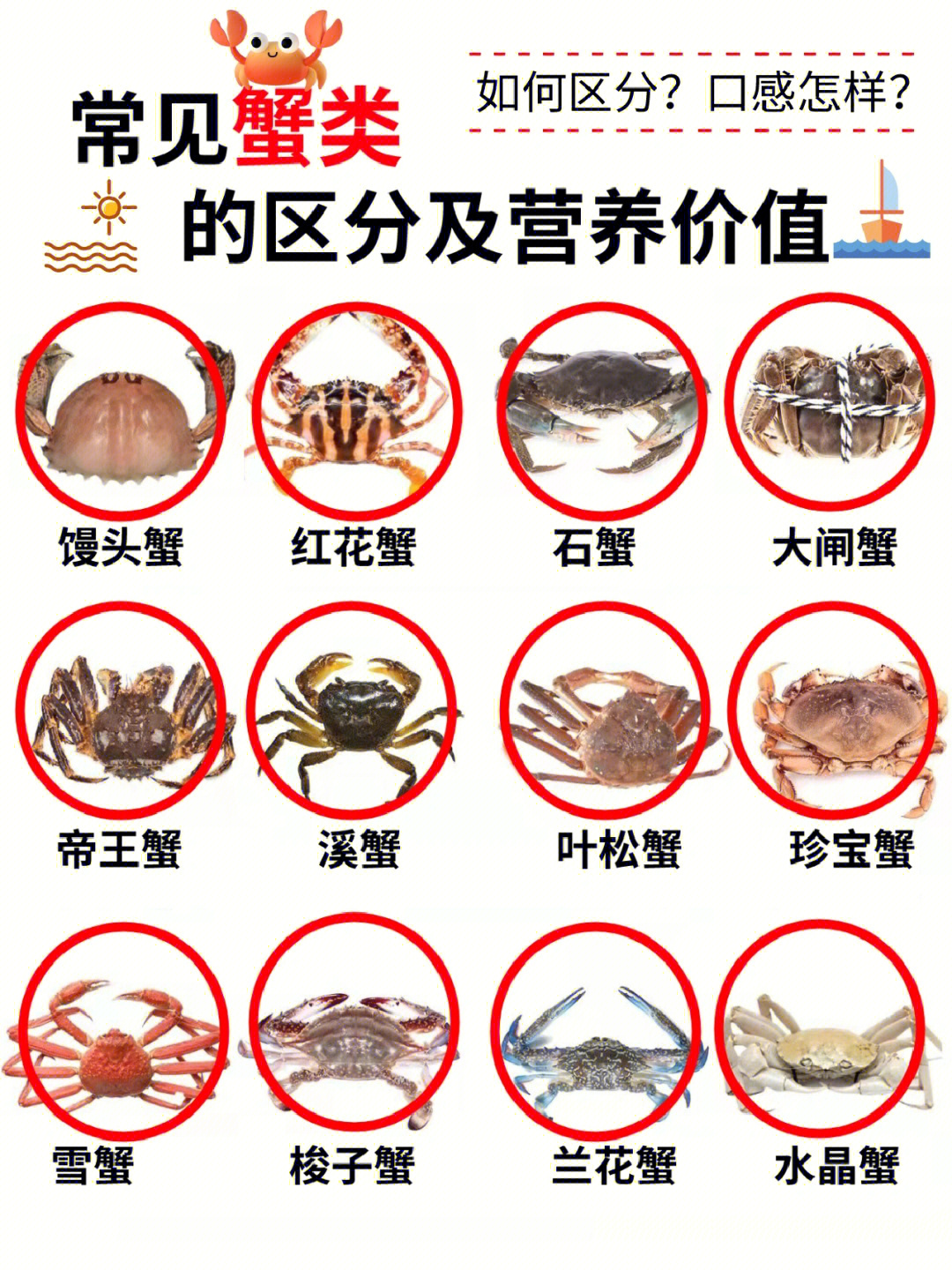 螃蟹品种大全图 图解图片