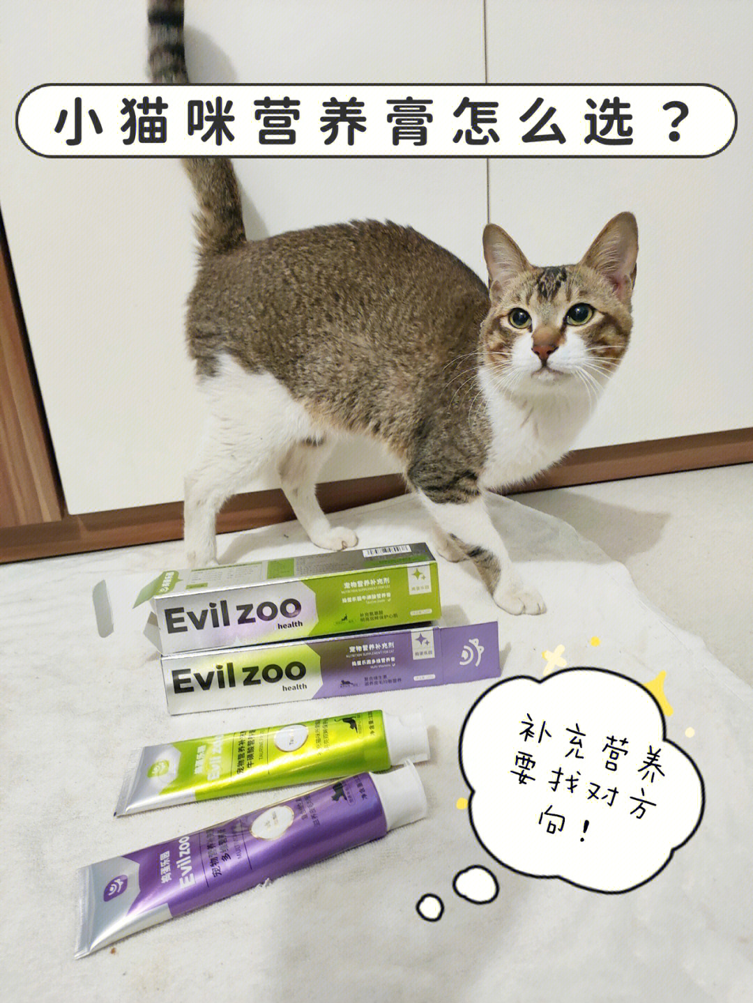 猫咪营养膏测评图片