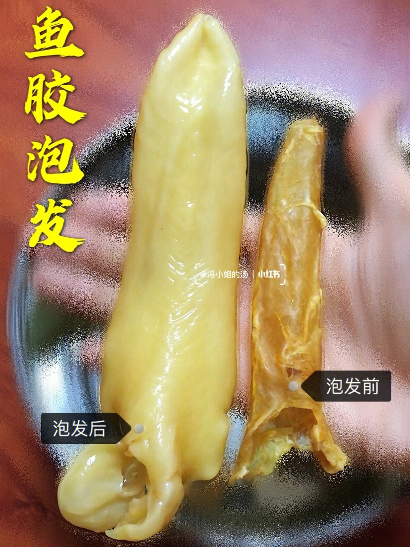 简单易学只需366步花胶完美泡发教程