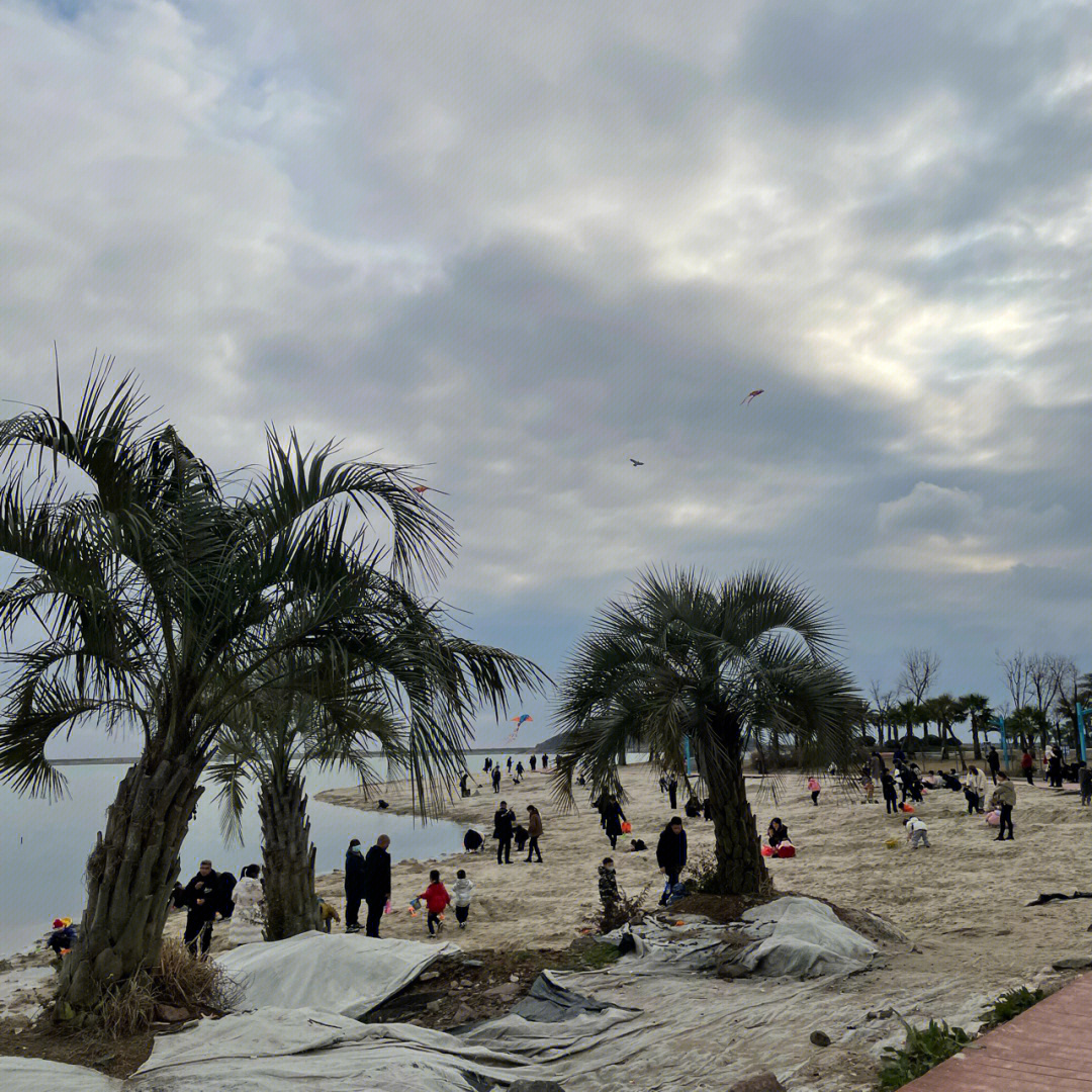 白沙湾海滨公园在哪里图片