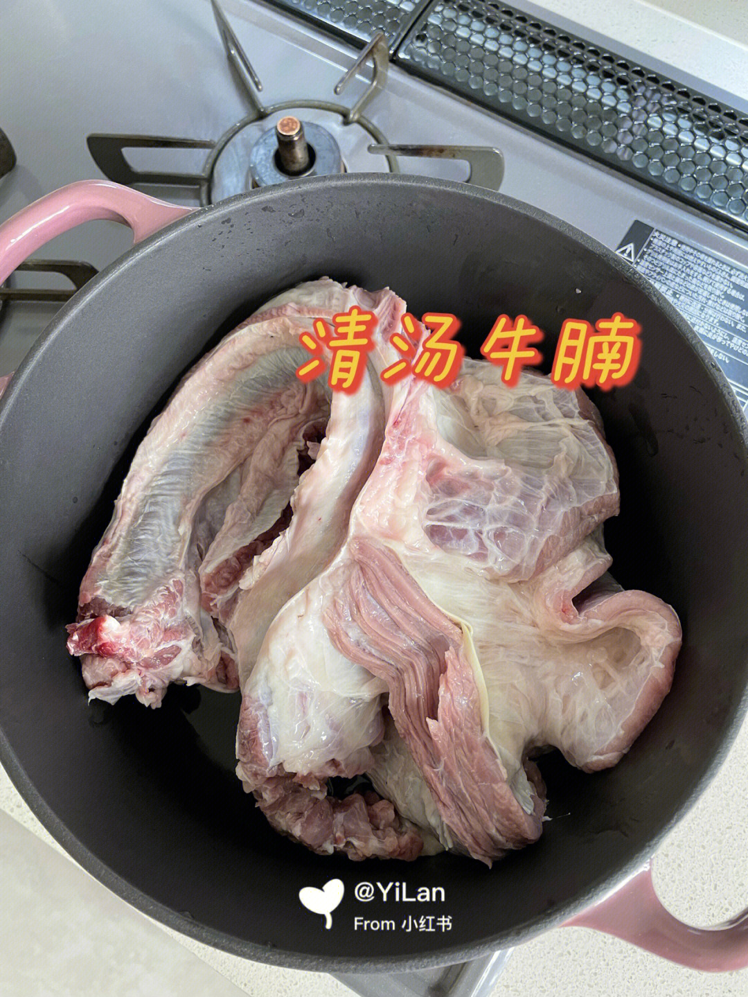 清汤牛腩