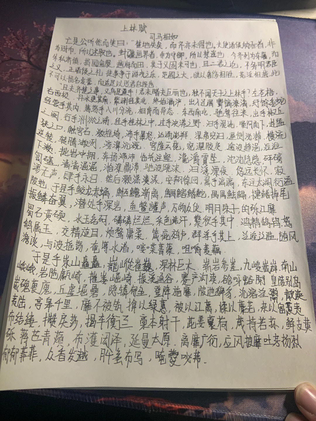 阿房宫赋第一段手抄图片