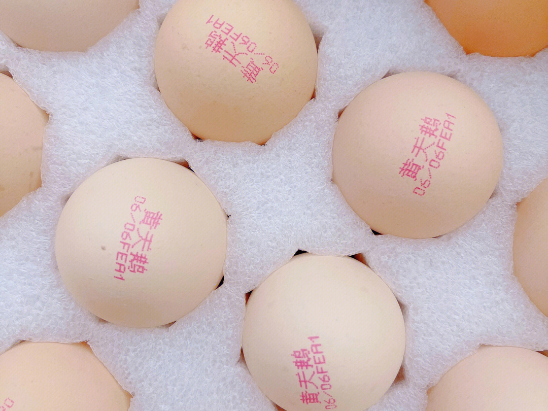 黄天鹅鸡蛋激素图片