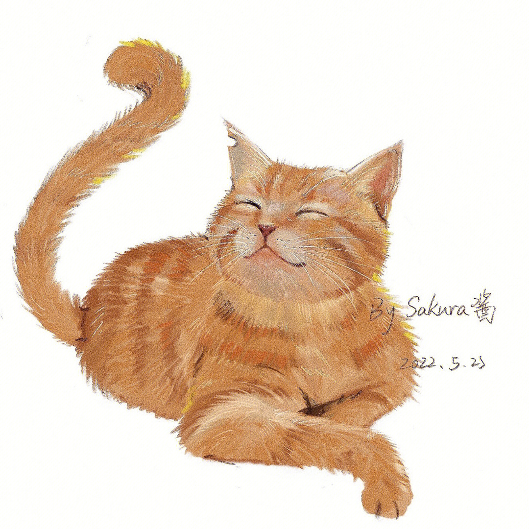 流浪橘猫手绘有参考图