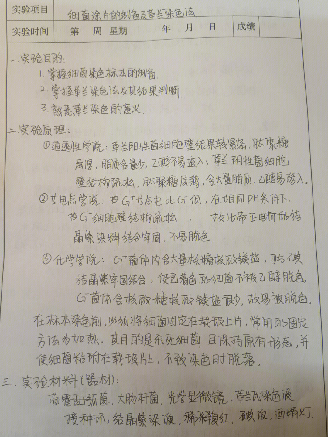 革兰染色法实验报告图片