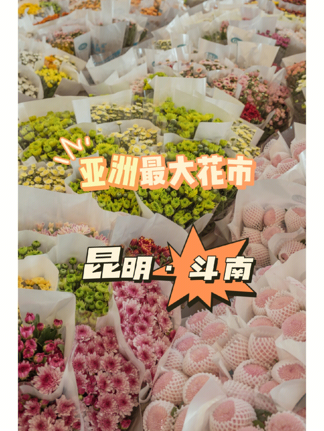 亚洲最大|斗南花市