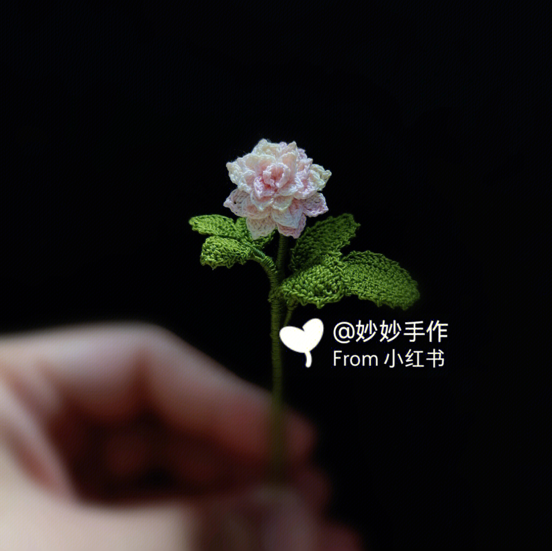 手工钩编菊花教程图片