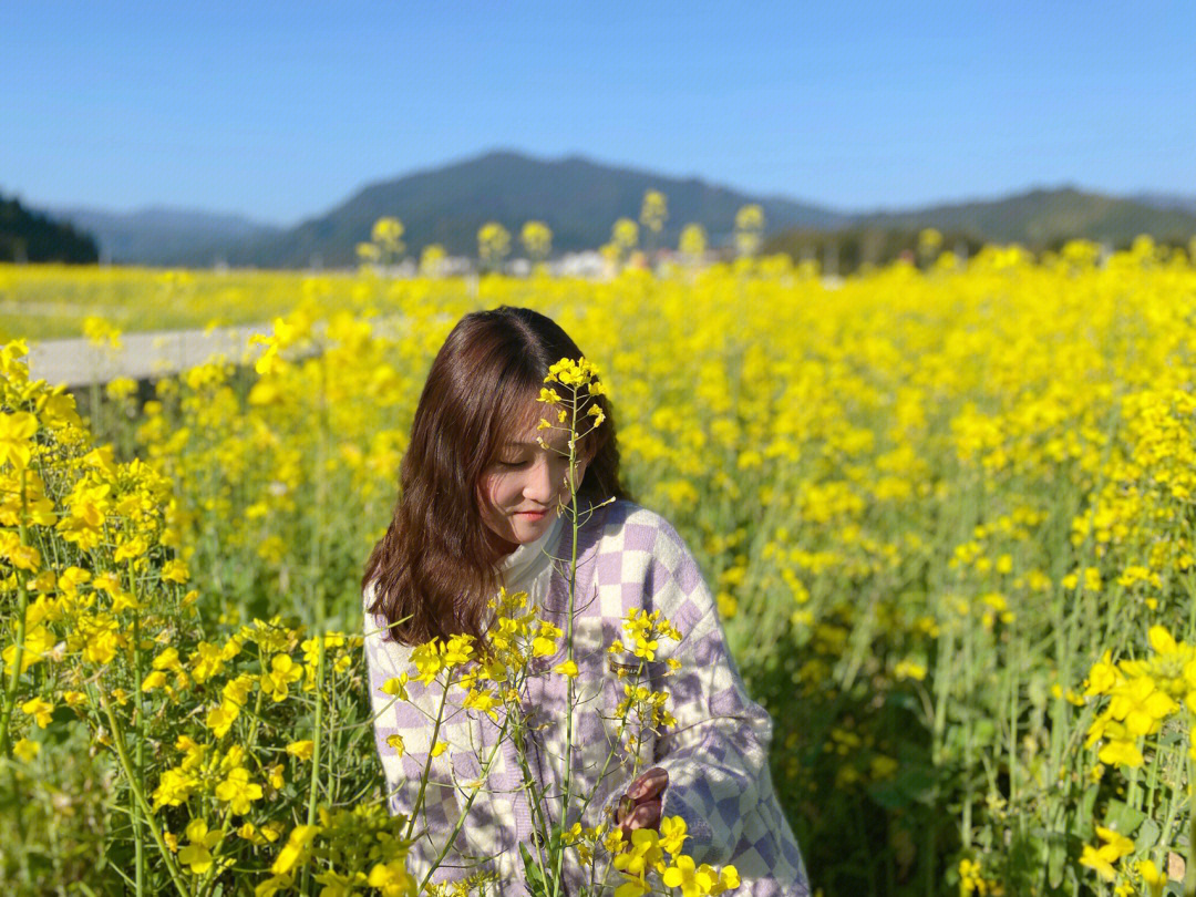 武夷山五夫古镇丨油菜花呀