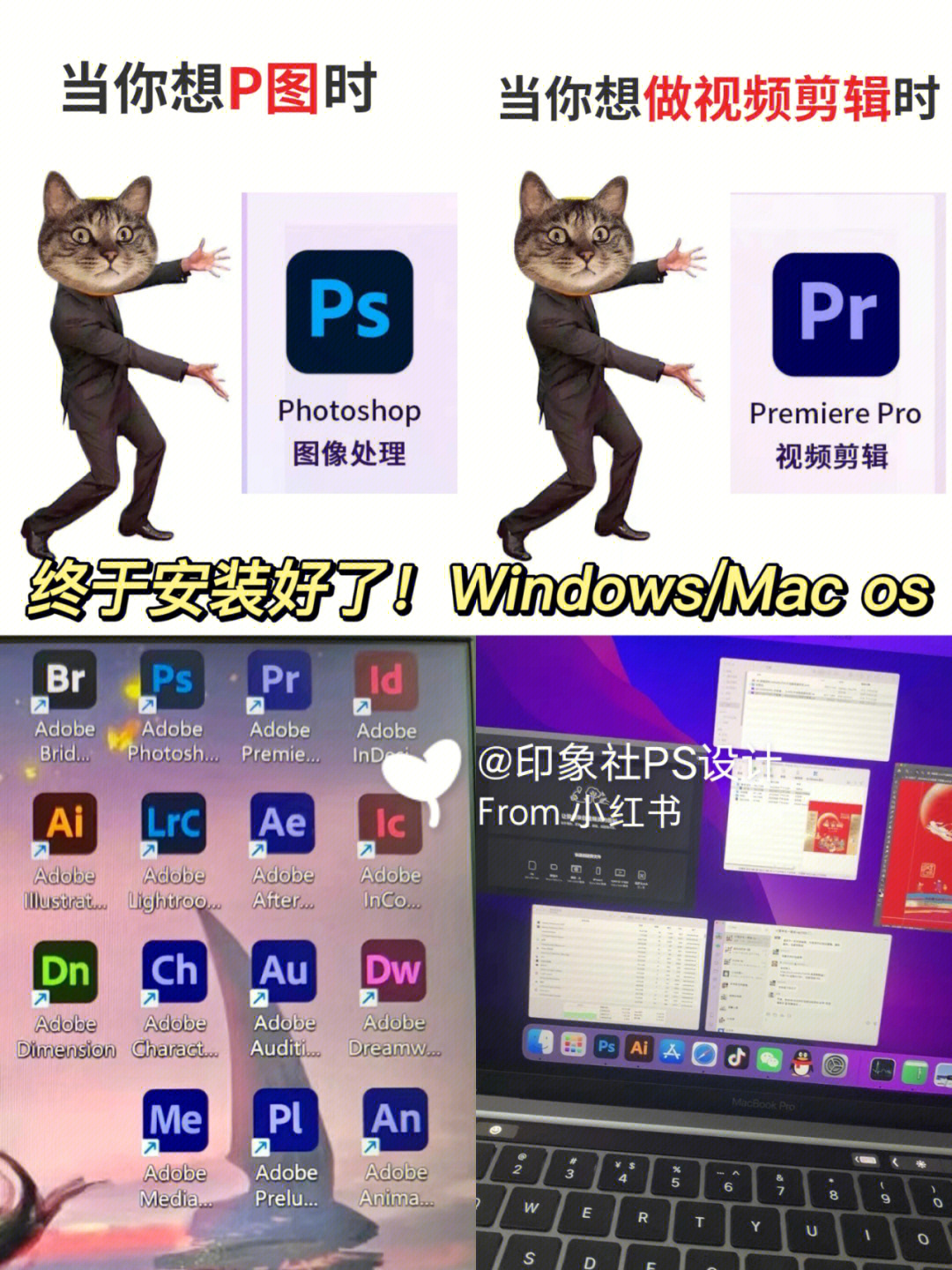 adobe表情包图片