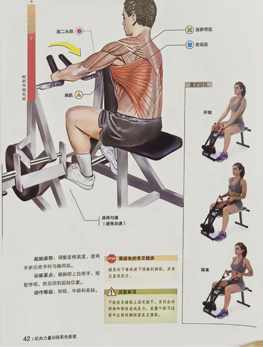 划船机锻炼背部肌肉图片