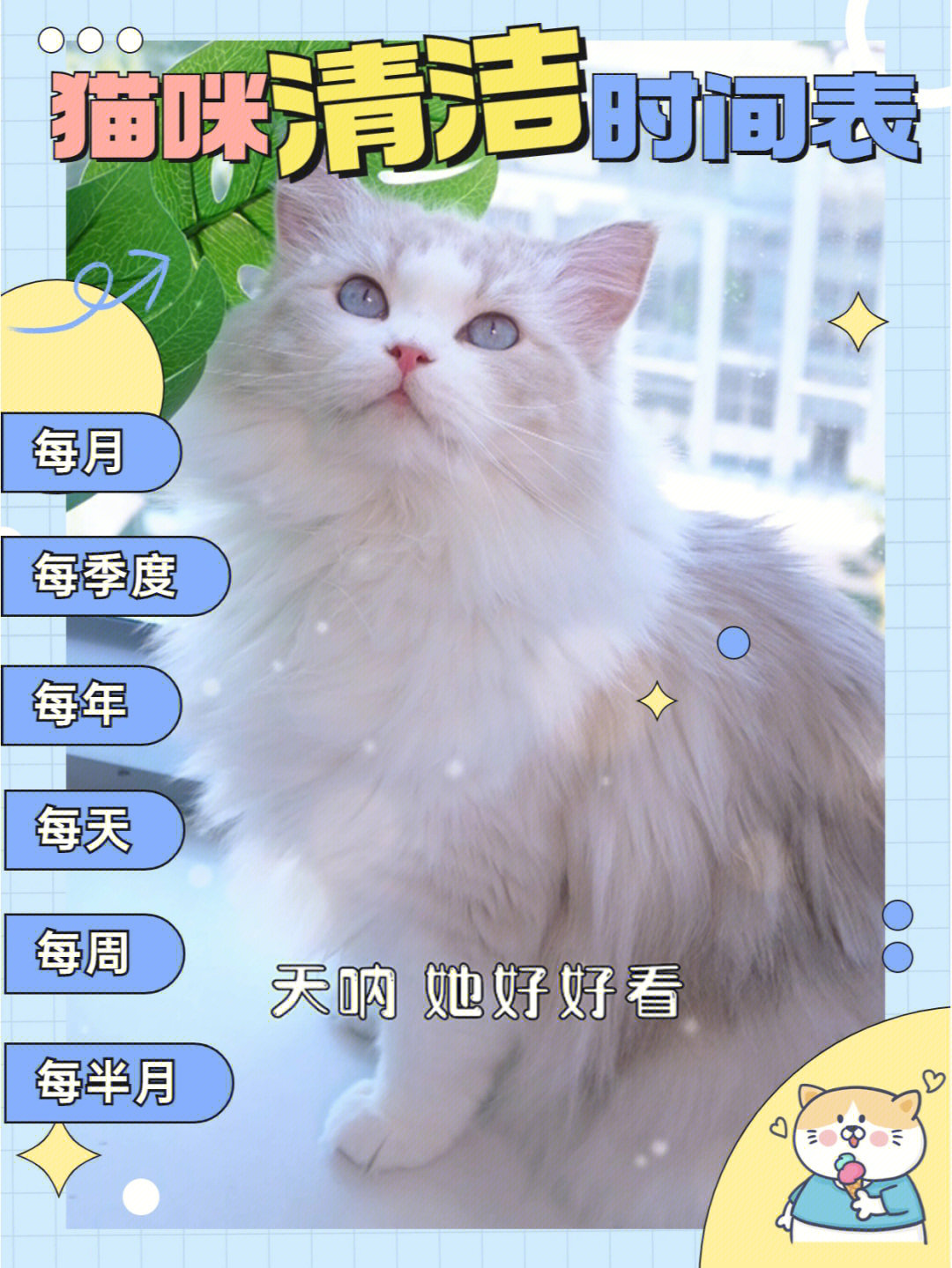 猫观察记录表图片