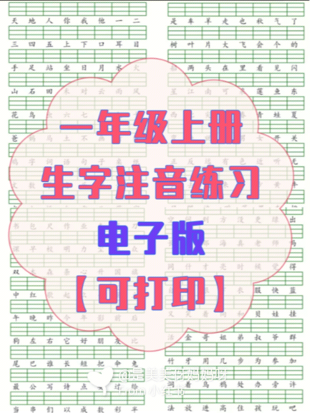 一年级上册语文生字注音练习拼音专项训练