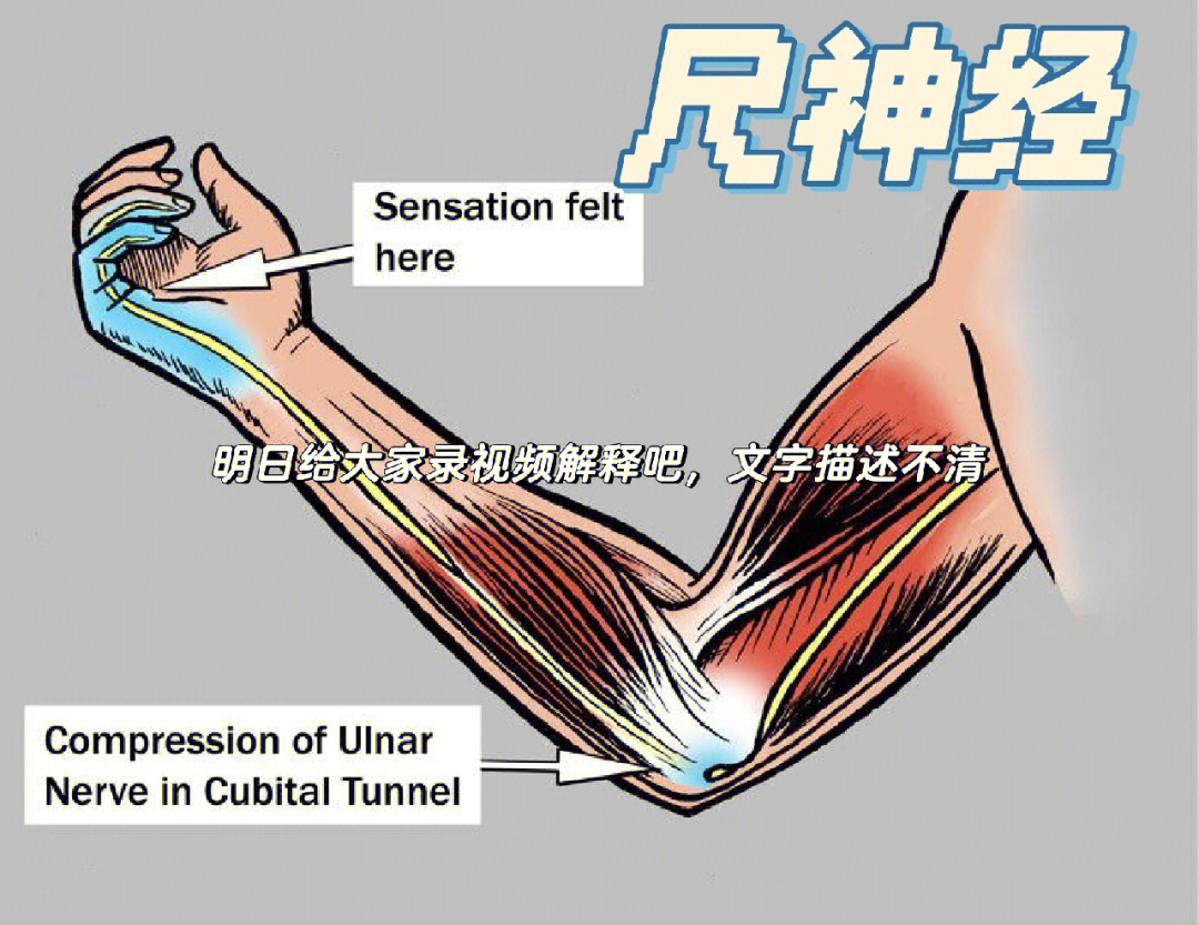 手指麻木按摩方法图片图片