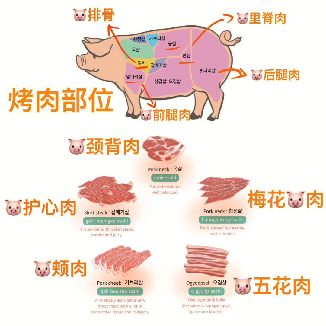 韩国烤肉菜谱大全图片