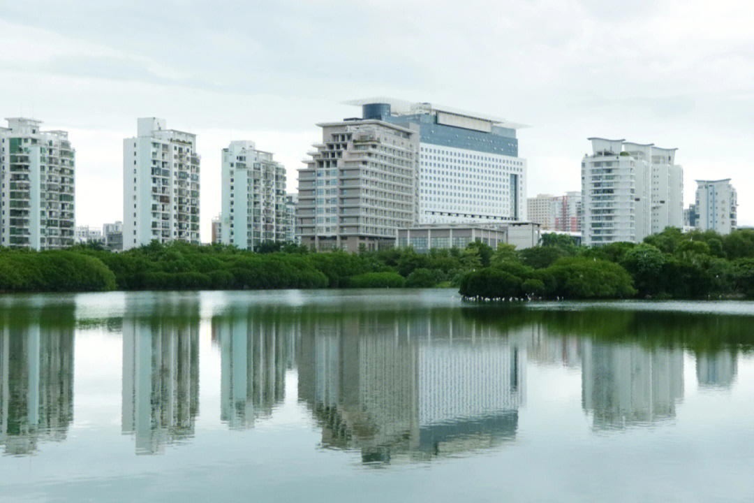 海南大学东坡湖图片