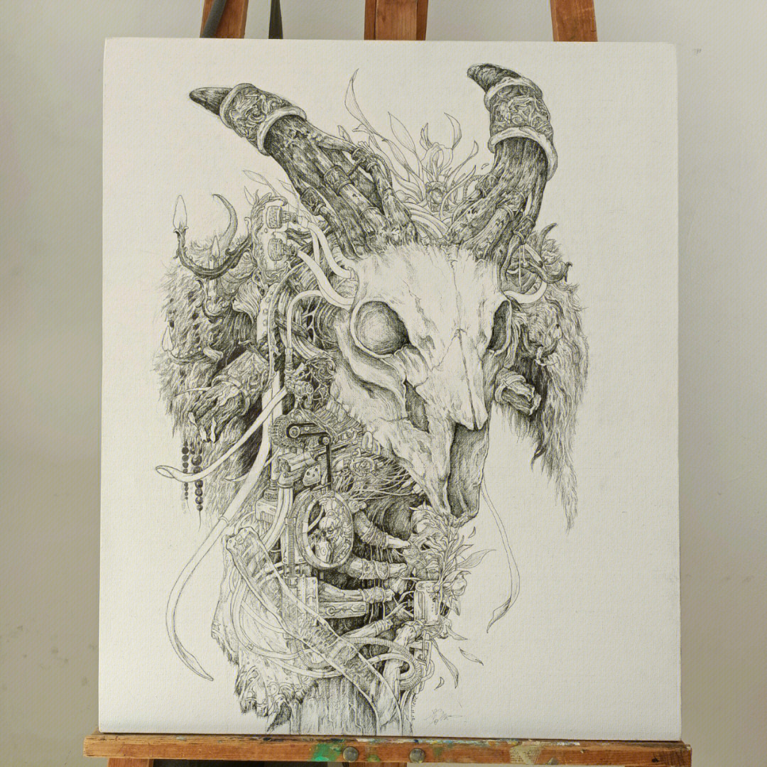 羊头骨画法图片