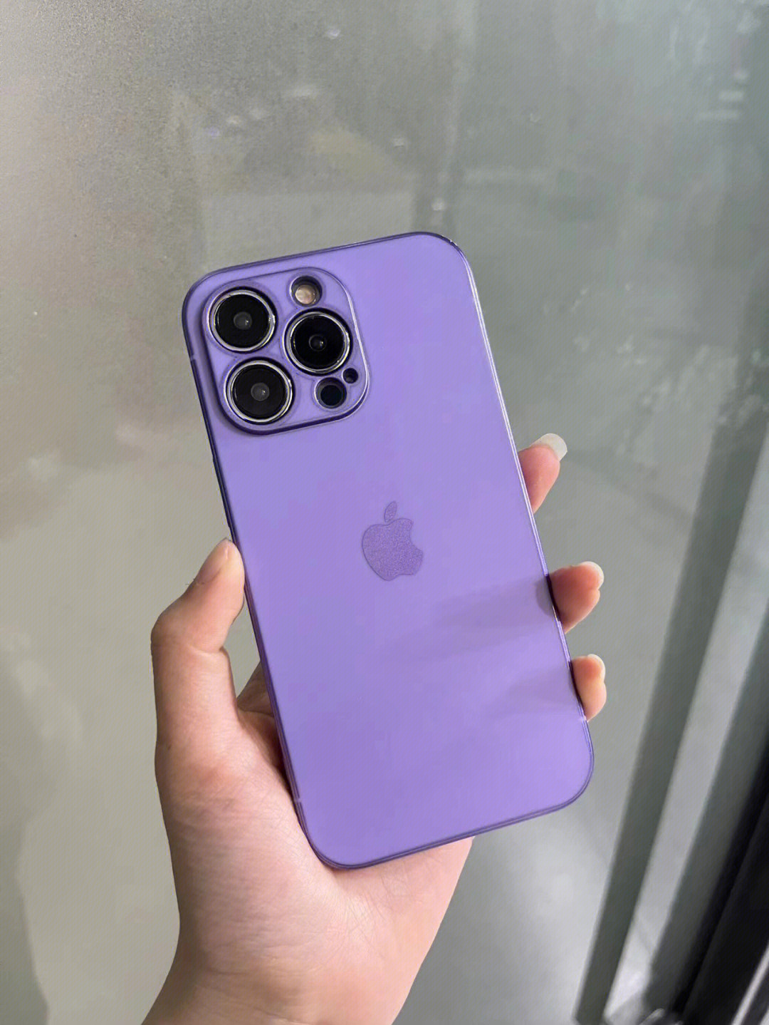 紫色 
