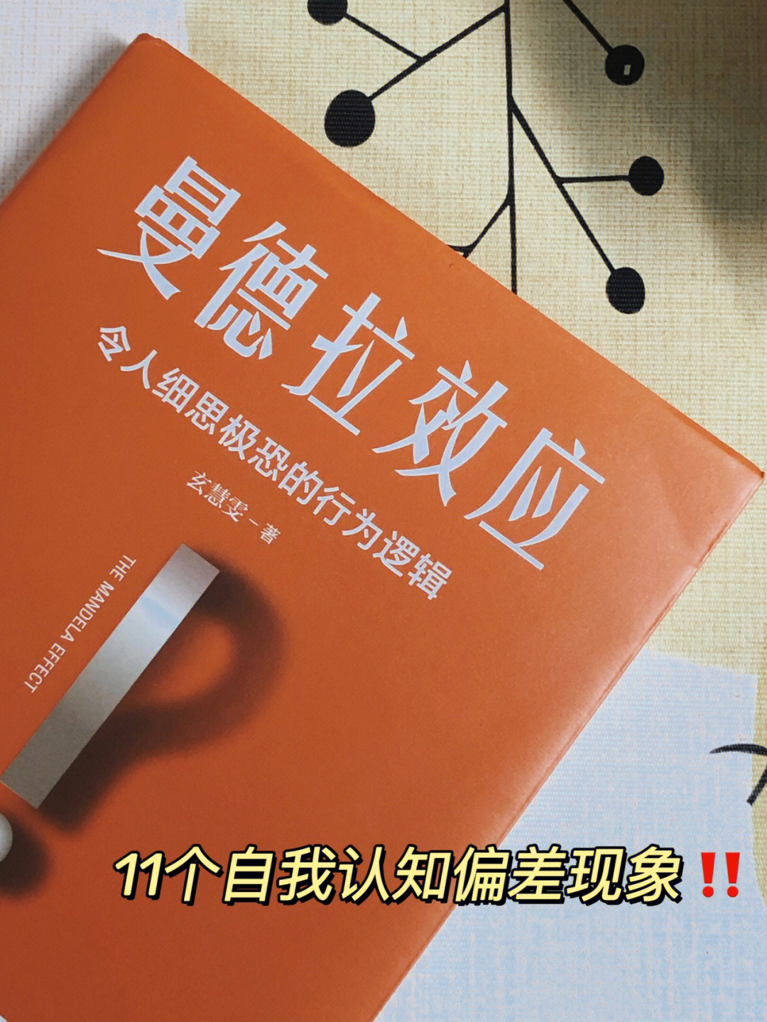 人类迷惑行为手册11个自我认知偏差现象60