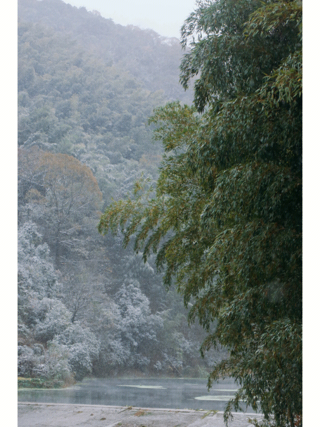 烟霏霏 雪霏霏图片