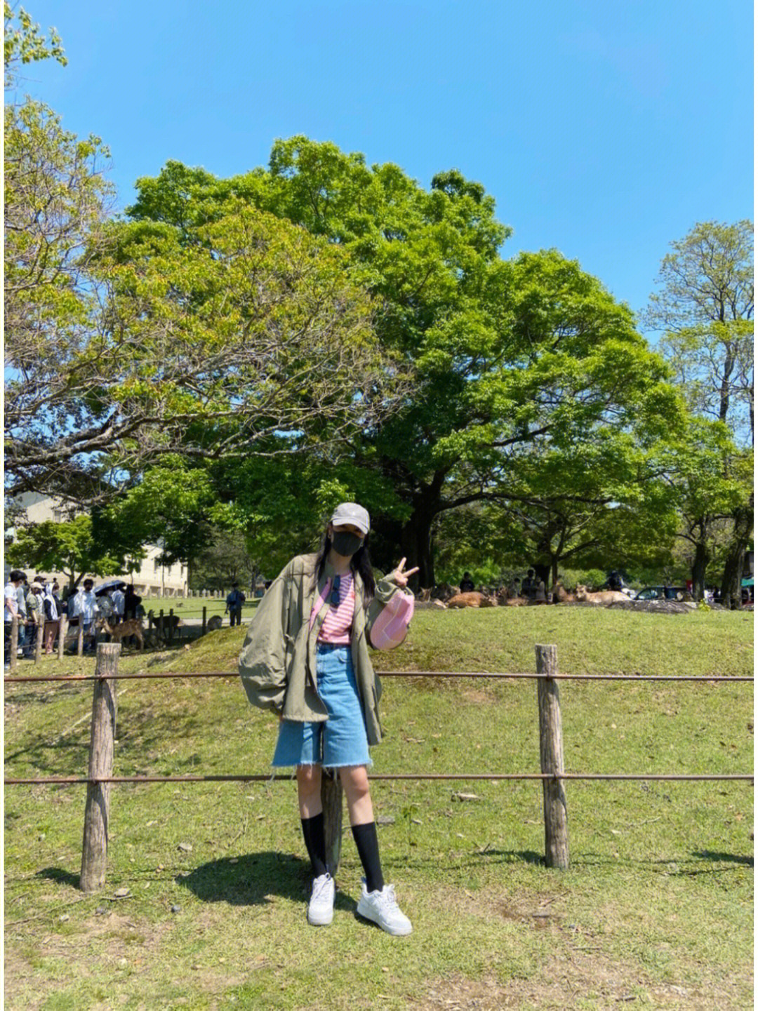 奈良公园英文图片