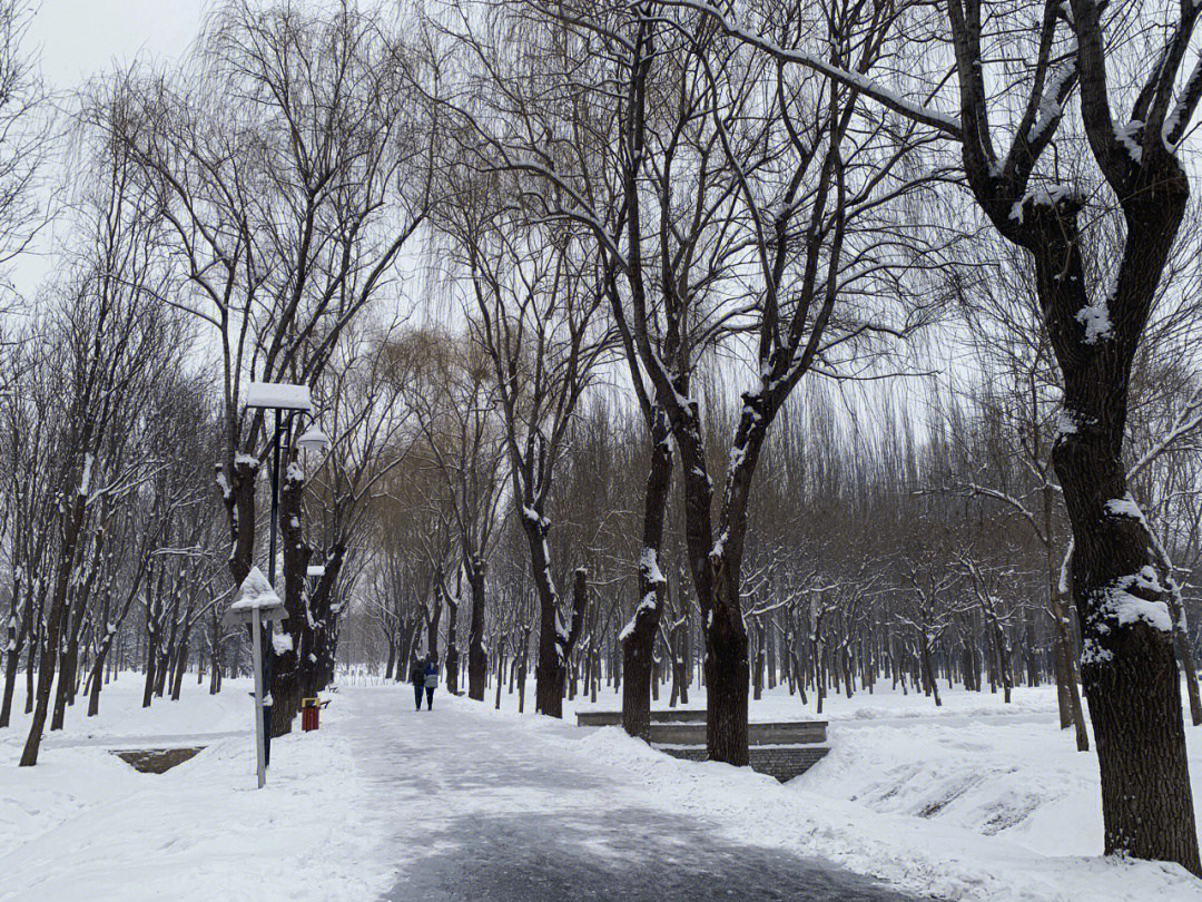 下雪的将府公园