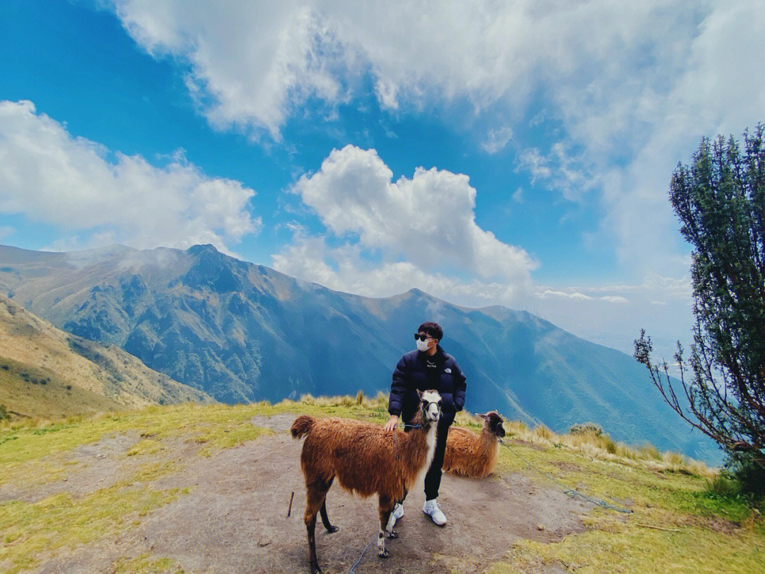 翻过崇山峻岭72顺便和羊驼合个影07