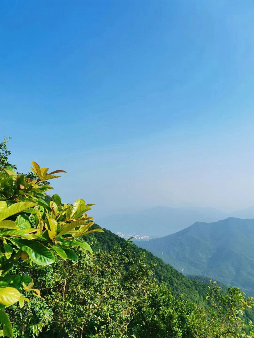 深圳风景优美的梧桐山