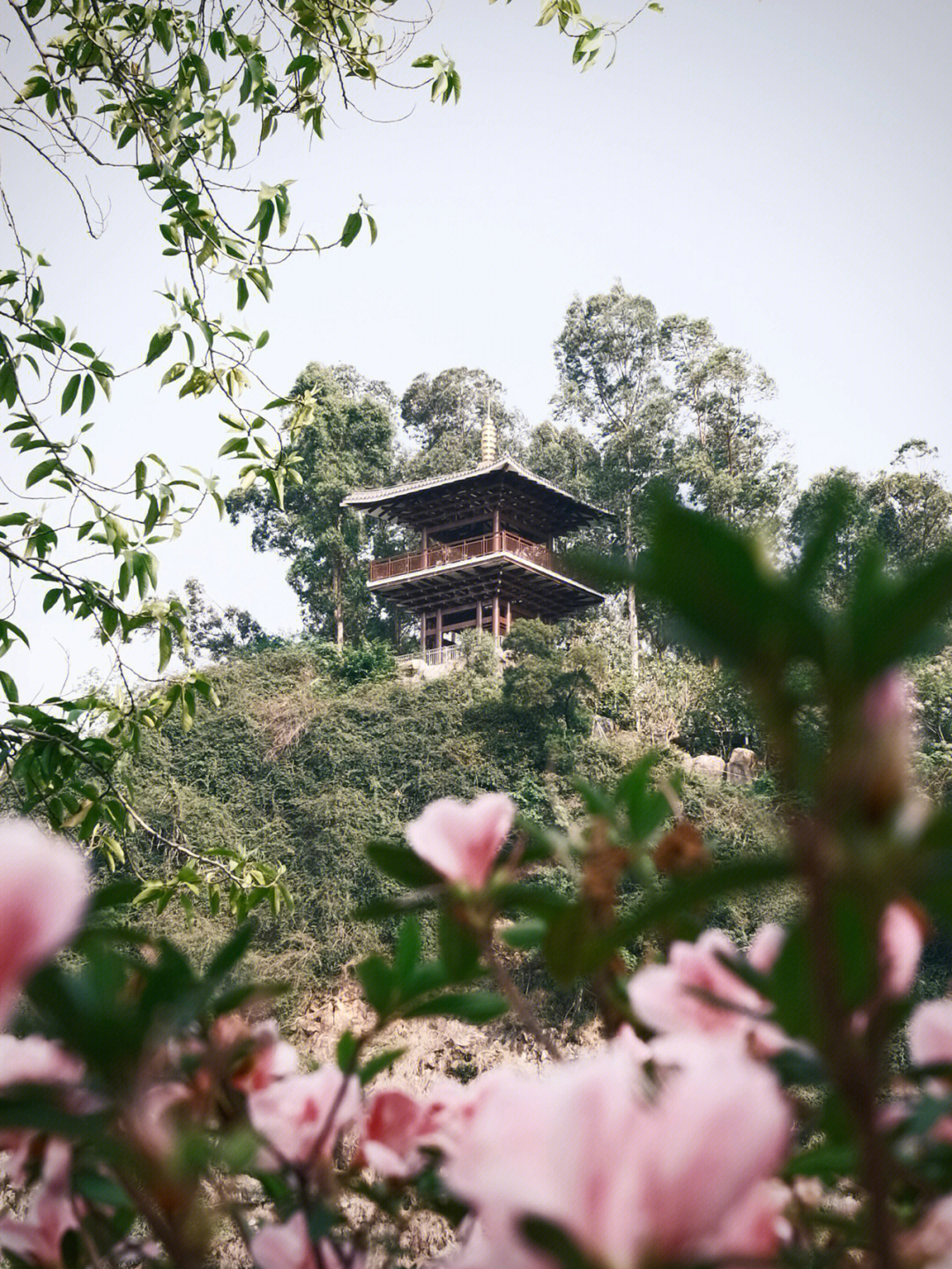 小榄圆榄公园入口图片