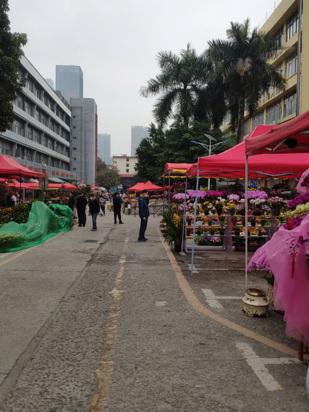 这可能是福田区最后一个大型花卉市场了吧,其实也不算大,无法和以前的