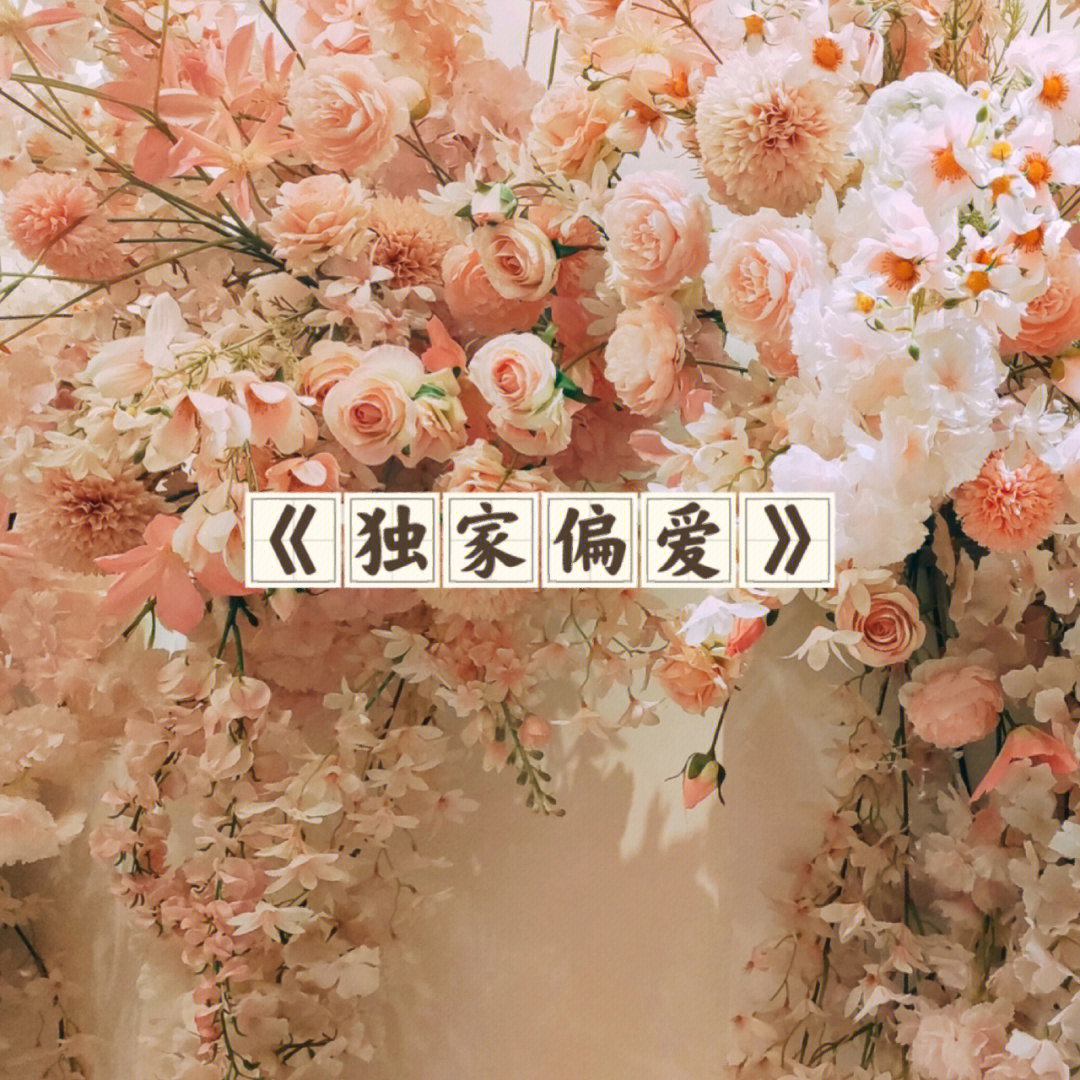 独家偏爱