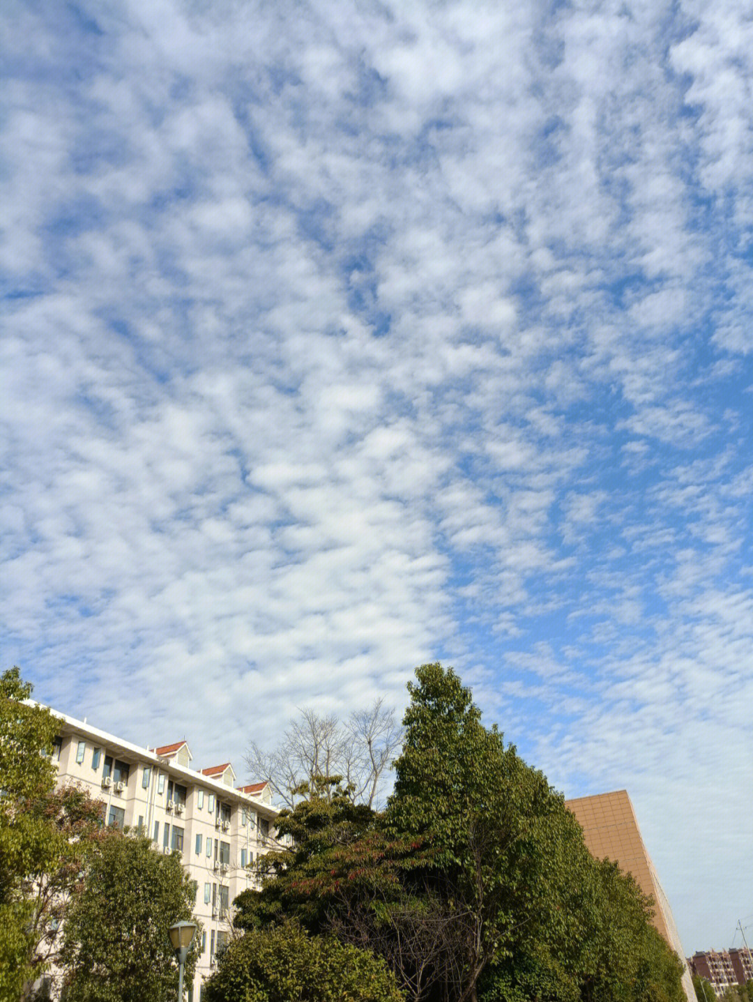 平舆蓝天学校图片