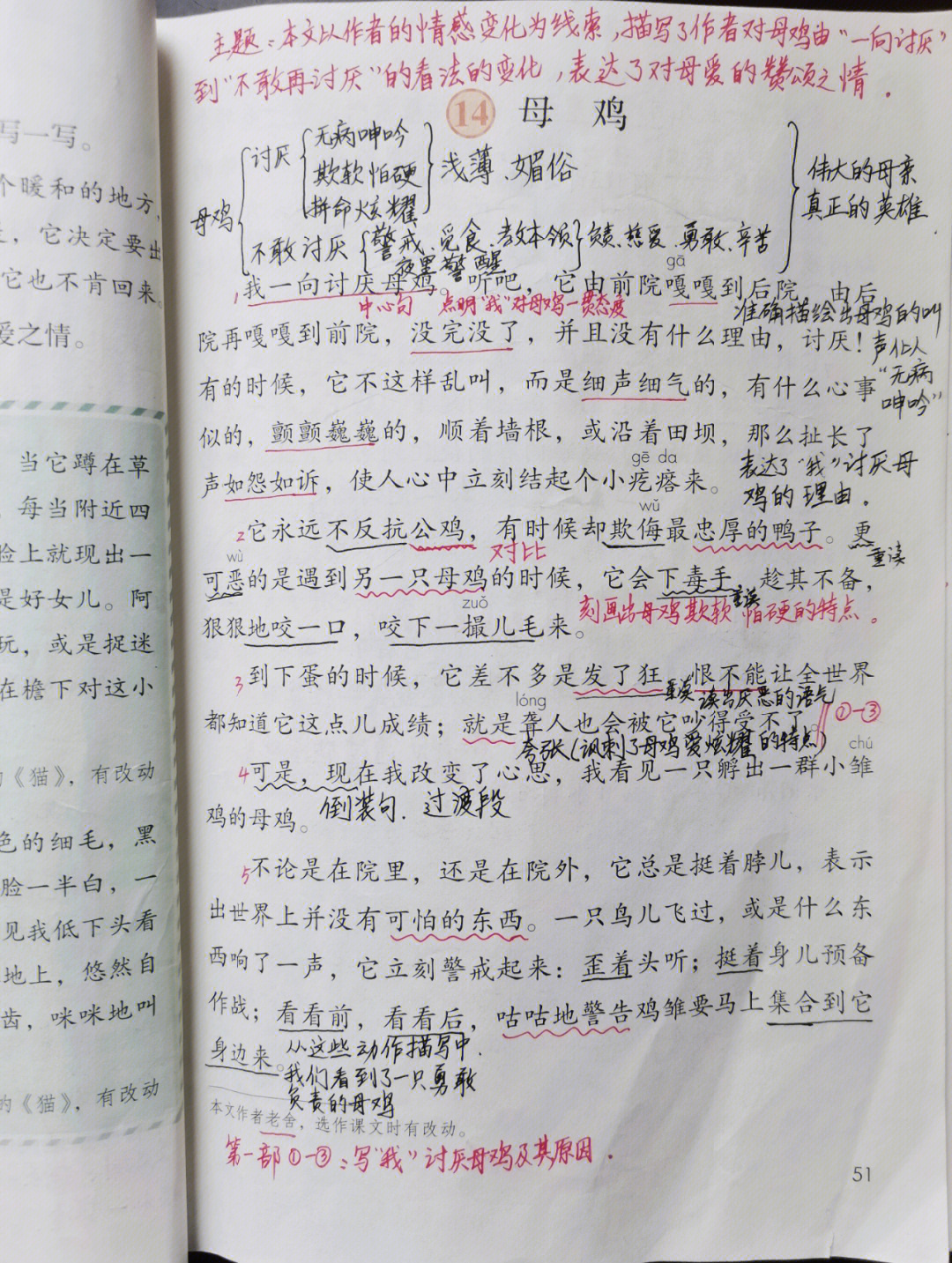 《母鸡》课堂笔记图片