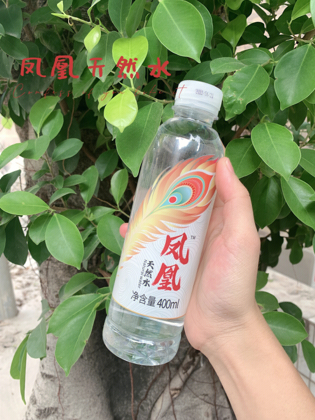 凤凰天然水打造不一样的中秋活动