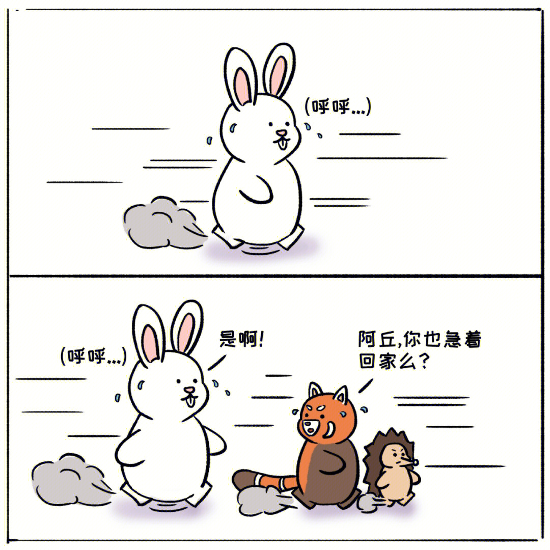 搞笑漫画日和兔子图片