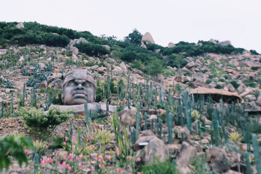 福建石岩植物园门票图片