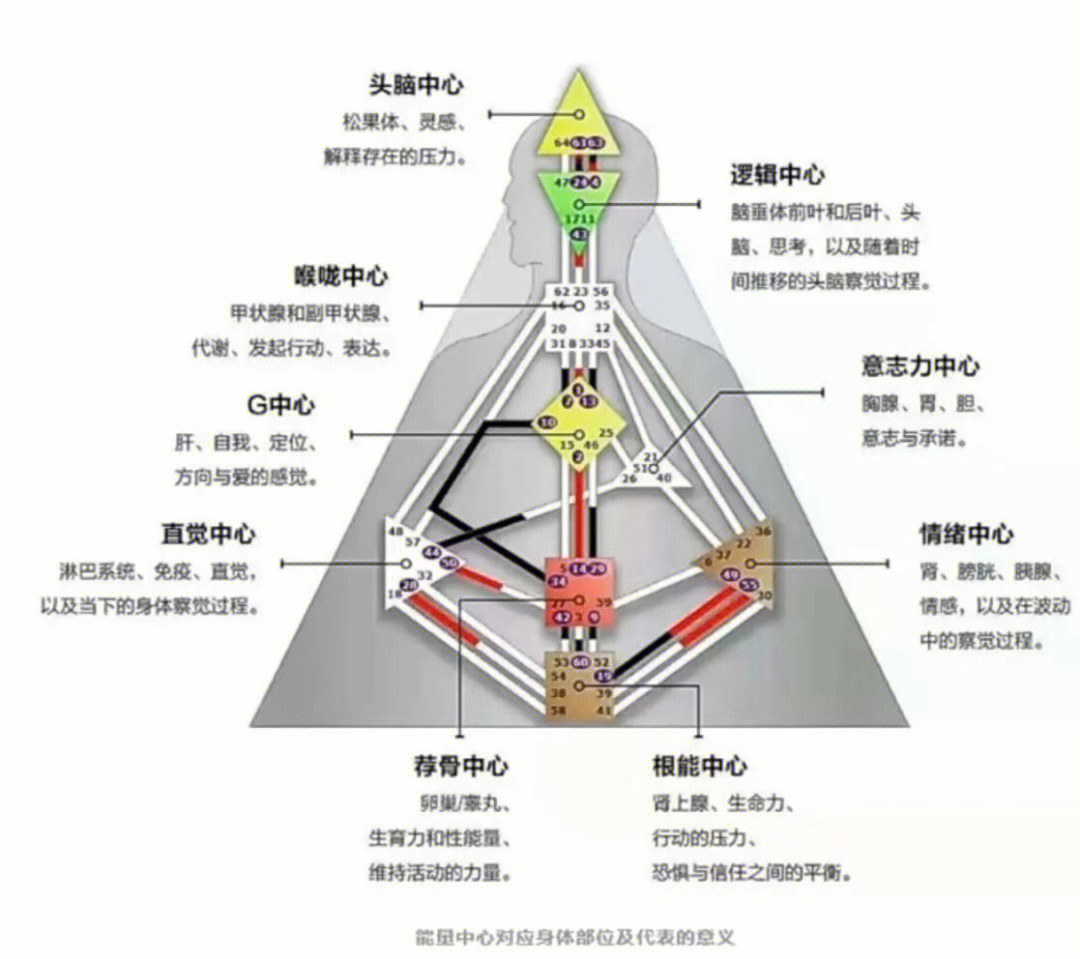 你的存在就是100分越深入解读人类图,越能感受到它的强大与精微