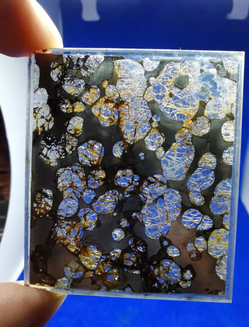 橄榄陨石断面图图片