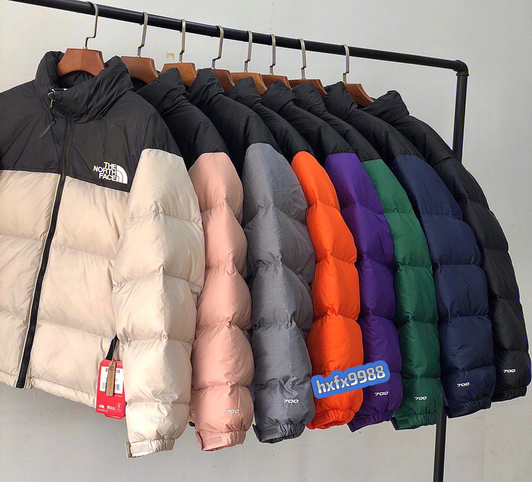 tnf北面1996羽绒服超级蓬
