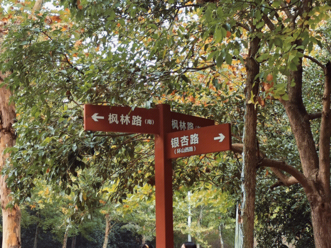 蜀山森林公园攻略图片