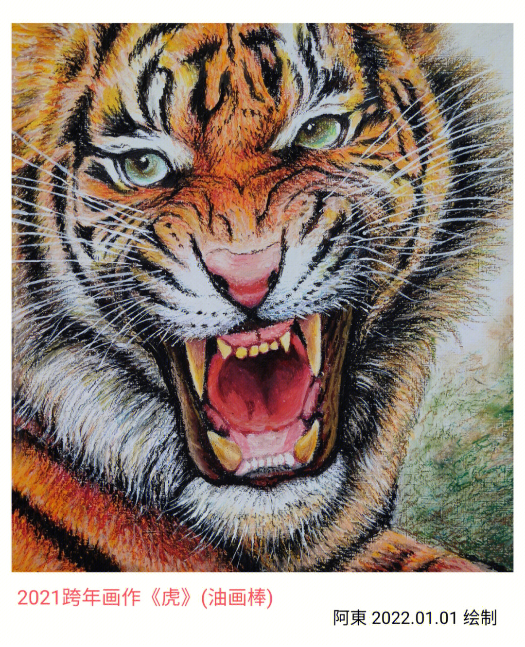 关于生肖虎的绘画作品图片
