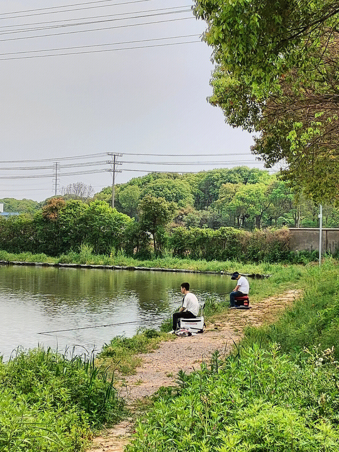 澄江钓鱼地方图片