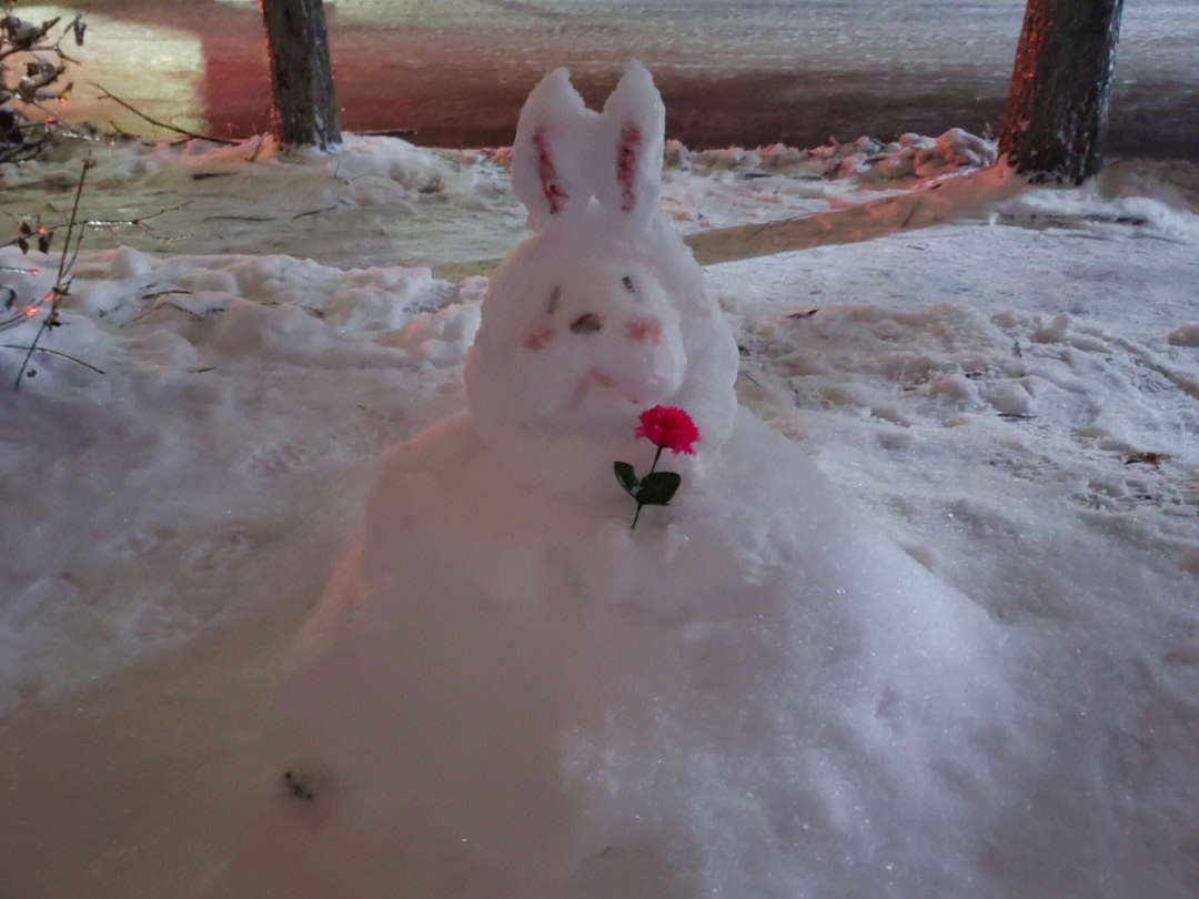 树上的兔子雪人图片