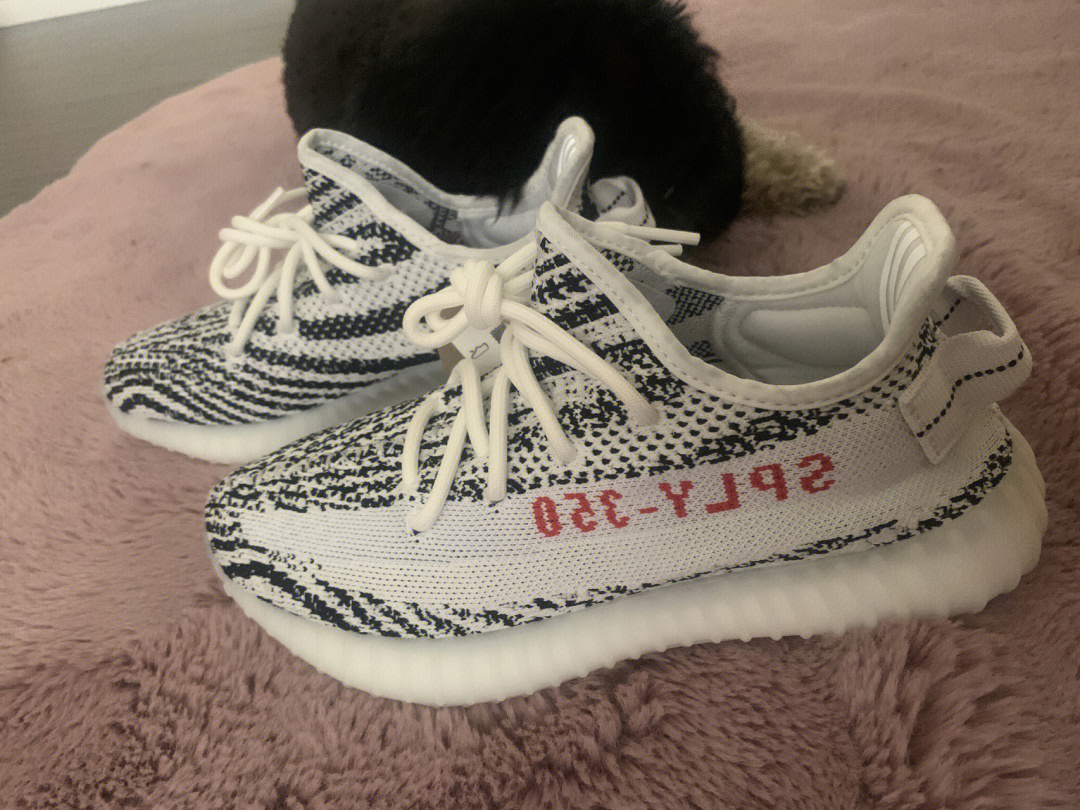 出一双65码yeezy350白斑马洛杉矶la