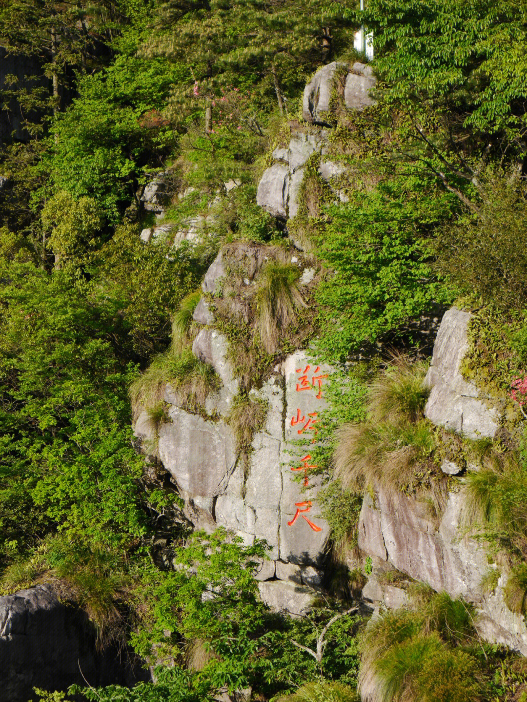 泰山锦绣谷风景区门票图片