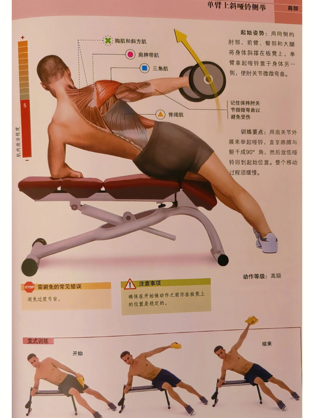 臀部和大腿将身体斜撑在板凳上,单臂拿起哑铃置于身体另一侧,使肘关节