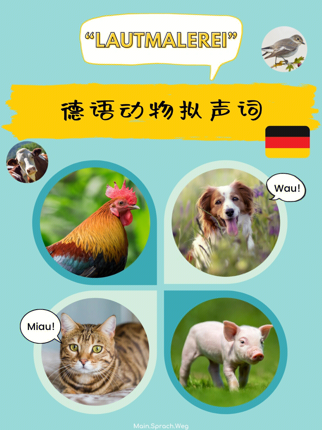 德语里动物的拟声词有些和中文里的相似,比如猫,狗,牛,羊的叫声